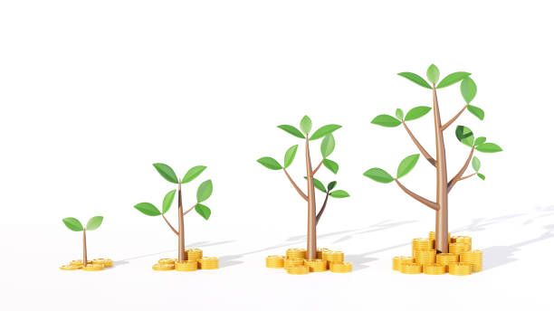 istock Stacking money coins gold and growing tree isolated on white background, saving and business investment concept or for financial accounting 1331945454