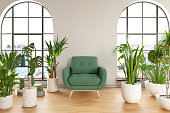 Armchair with Green Plants Flowers and Cactuses