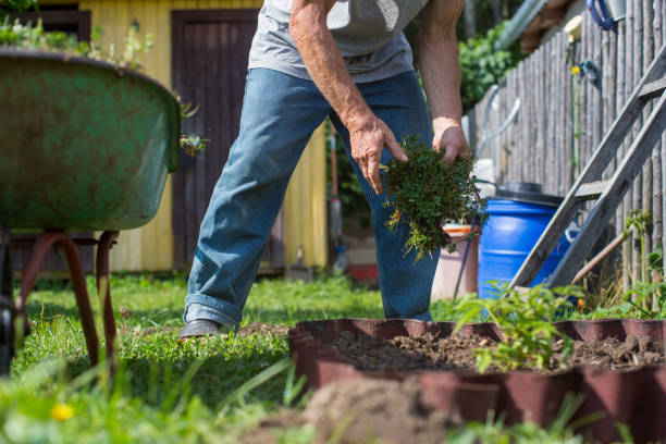 istock The farmer works in the garden 1331949671