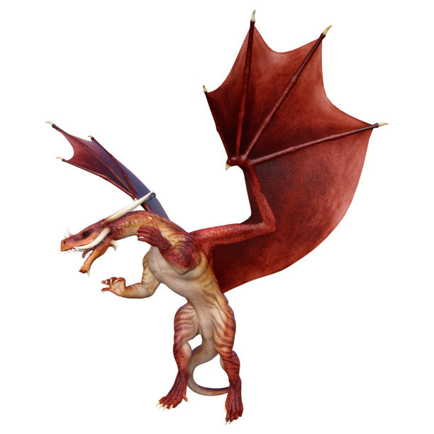 istock 3D illustration fantasy dragon on white 1331950792