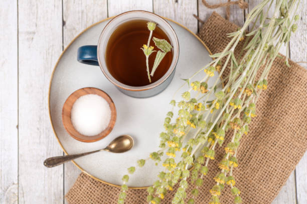 istock Sideritis scardica - greek mountain tea 1331953676