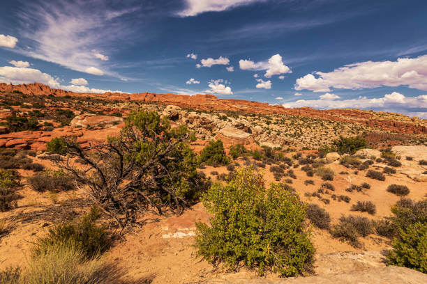 istock Arches national park, Moab, Utah, US 1331955196