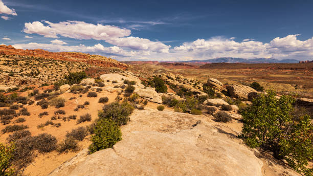 Arches national park, Moab, Utah, US