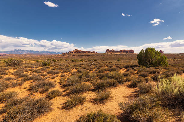 istock Arches national park, Moab, Utah, US 1331955675