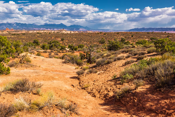 istock Arches national park, Moab, Utah, US 1331955824