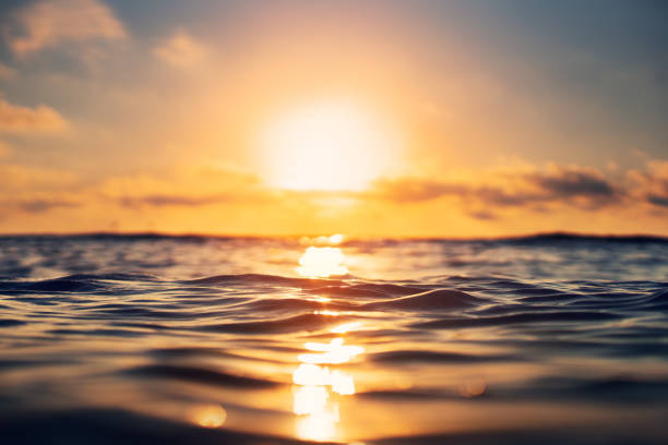 istock Sea wave close up, low angle view, sunrise shot. 1331955831