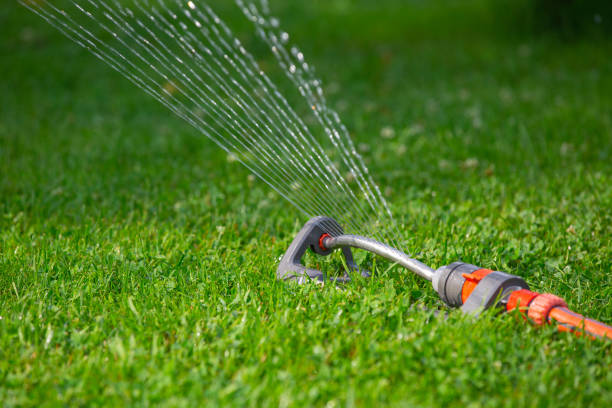 instalacja do nawadniania deszczu trawnika, letni dzień - sprinkler park summer spray zdjęcia i obrazy z banku zdjęć