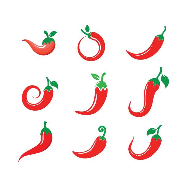 ilustrações, clipart, desenhos animados e ícones de design de ilustração vetorial do ícone chili - paprika