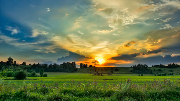 Photo of Summer sunset over green field - amazing rural landscape