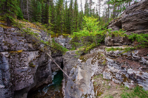 istock The Rocky Mountains. Maligne Canyon 1331964644