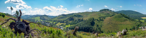 istock Landscape of meadow and trees 1331966089