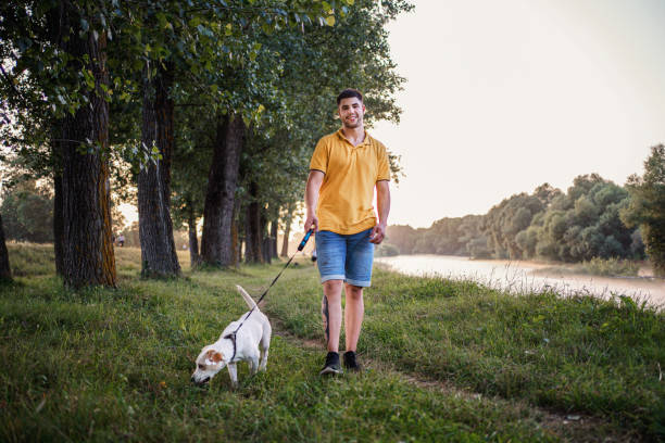 młody człowiek spędza dzień z psem w naturze - action dog outdoors animal trainer zdjęcia i obrazy z banku zdjęć