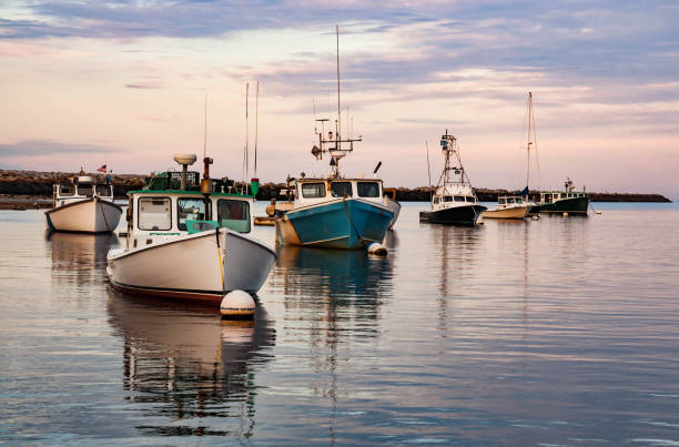 barcos de pesca en un puerto camp ellis, maine, en un día de verano - maine fotografías e imágenes de stock