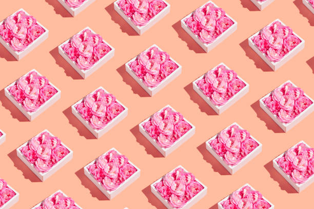 istock Creative pattern made of beautiful rose buds in white boxes on colorful background. Nature concept. Minimal style. 1331968864