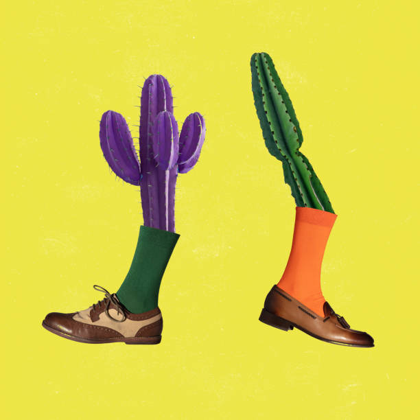 Human destroying nature. Two colored cactus, green and purple wearing different shoes and socks over yellow background. Concept of saving nature. Contemporary art collage