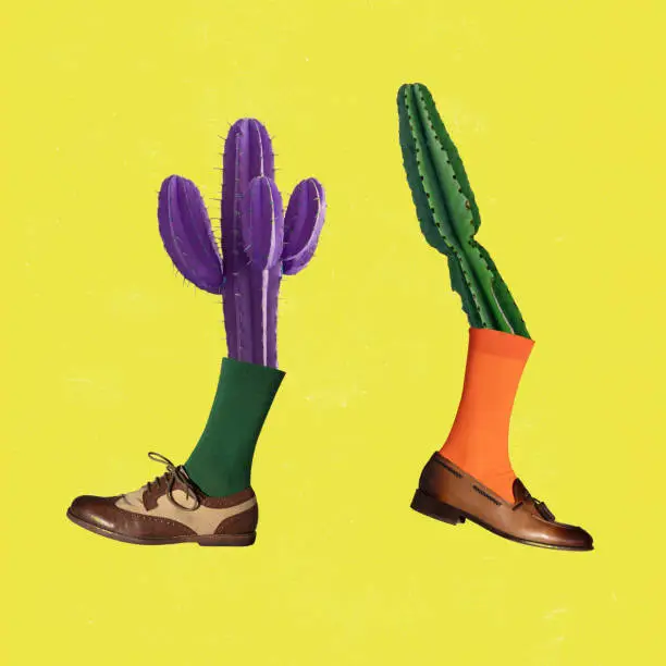 Photo of Modern art collage. Two colored cactus wearing different shoes over yellow background. Concept of saving nature.