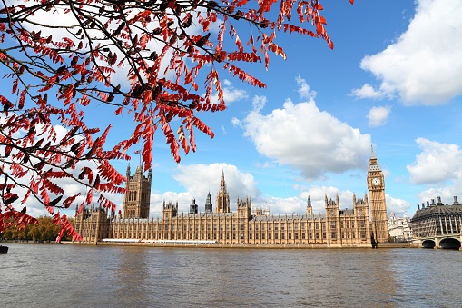 London, United Kingdom - Palace of Westminster (Houses of Parliament) with Big Ben clock tower. UNESCO World Heritage Site.- Autumn leaves - autumn season view.