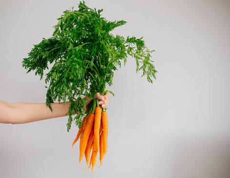 Carrots in hands
