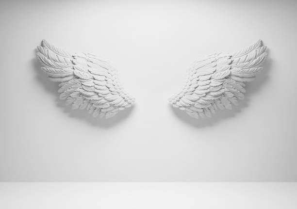 white angel wings on wall template - engelenpak stockfoto's en -beelden