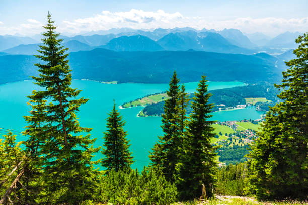 view from the herzogstand in bavaria - walchensee lake imagens e fotografias de stock