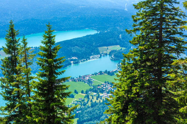 istock View from the Herzogstand in Bavaria 1331971130