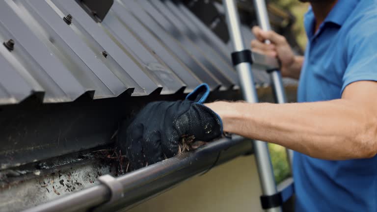 worker on ladder cleaning house rain gutter from leaves, needles and dirt