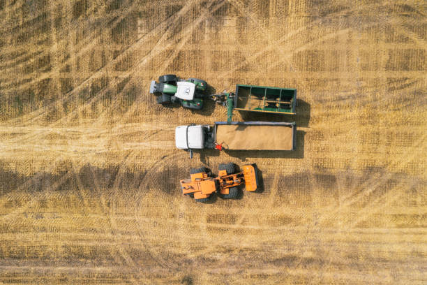 istock Aerial drone view from above: overloading grain from combine harvesters into grain truck in field. Harvester unloder pouring wheat into box body. Farmers at work. 1331972701