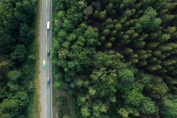 숲을 가로지르는 길 - car aerial 뉴스 사진 이미지