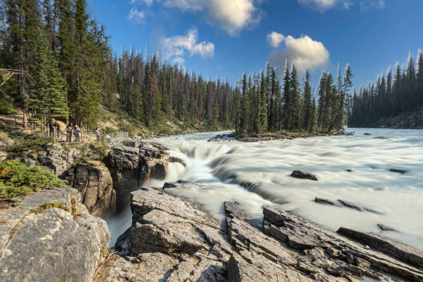 istock Sunwapta Falls in summer 1331980488