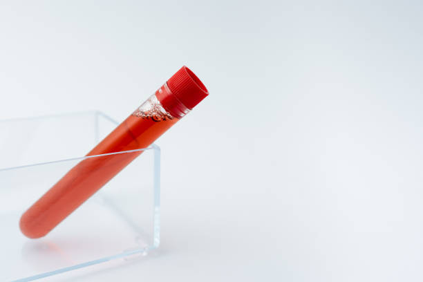 istock Presenting Medical Samples Laboratory Testing New Virus Medicine Disease Illness Infection Prevention Researching Virus Medicines Scientific Studies Treatment Plans 1331982954
