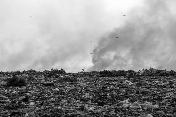 pile of garbage isolated on white background