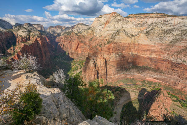 istock Zion National Park. 1331983214