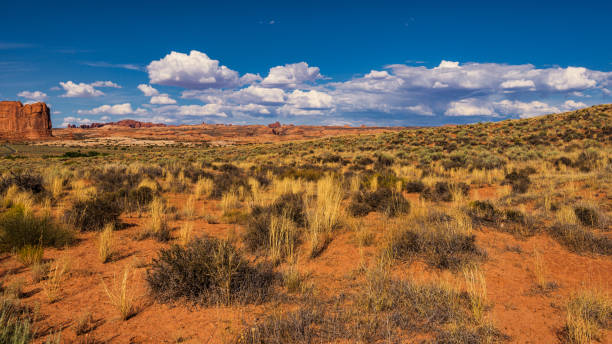 istock Arches national park, Moab, Utah, US 1331984220
