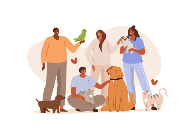 people with pets People in animal shelter playing, relaxing and spending time with pets. Characters take care of dogs, cats and bird. Pet sitters and animal lovers Concept.  Flat cartoon vector Illustration. pets and animals stock illustrations