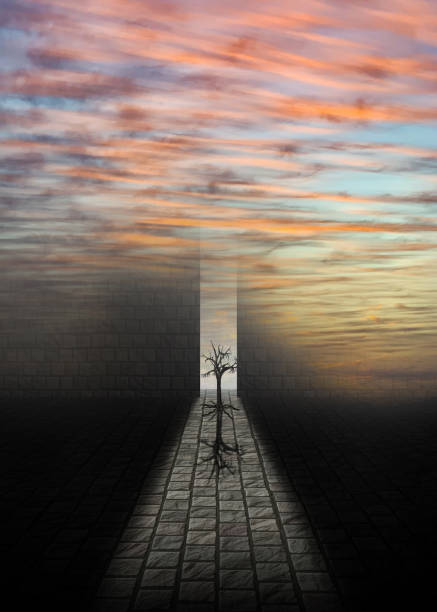istock The Lost Soul 1331986406
