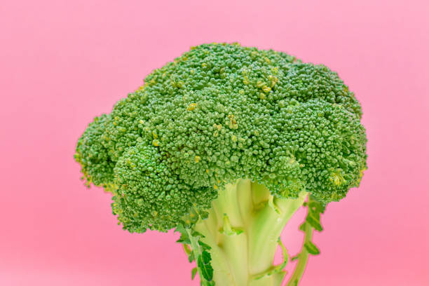 istock Fresh and Raw Broccoli Against the Pink Background. Uncooked Green Cabbage 1331990279