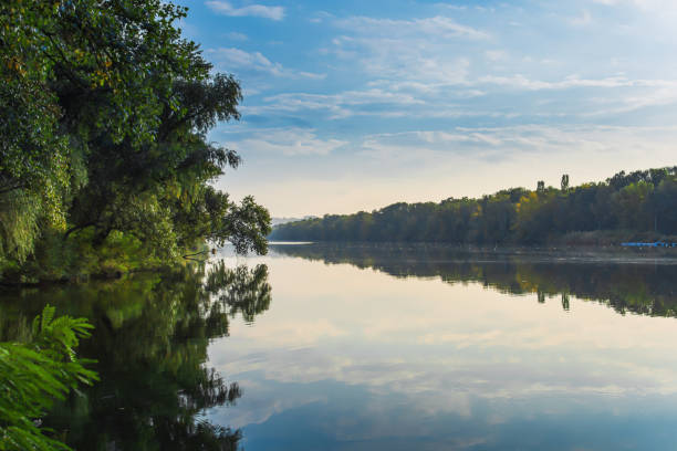 istock landscape forest trees in the mirror reflection of water 1331990410