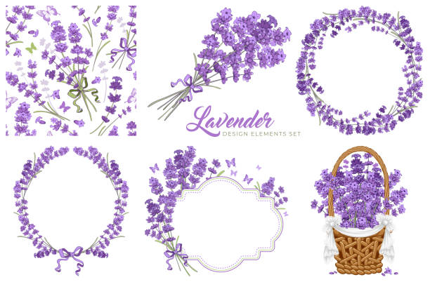 ilustrações de stock, clip art, desenhos animados e ícones de vintage lavender flowers set - purple circle frame design