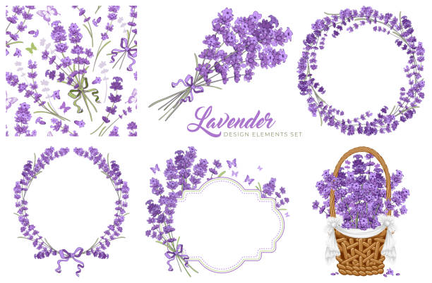 Vintage Lavender Flowers Set Set of vintage floral design elements with lavender flowers. Circle frame, seamless pattern, bouquet, label template and flowers in the basket. Vector illustration. decoupage stock illustrations