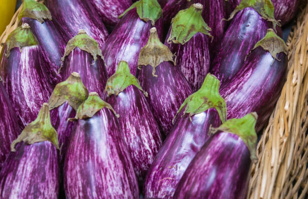 aubergine fraîche - august cape cod massachusetts new england photos et images de collection