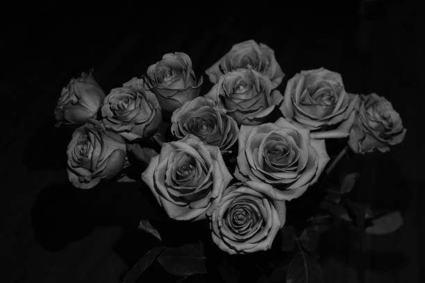 istock Bouquet of Roses. 1331997719