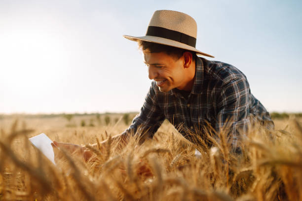 istock Modern agriculture technology. Smart farming concept. 1332000223