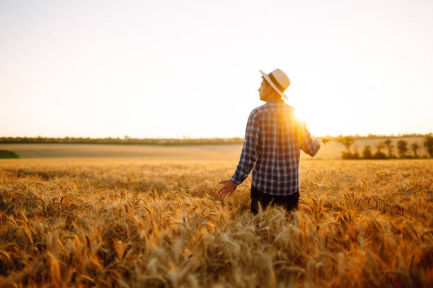 istock Modern agriculture technology. Smart farming concept. 1332000268