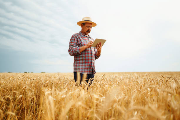 istock Modern agriculture technology. Smart farming concept. 1332000299