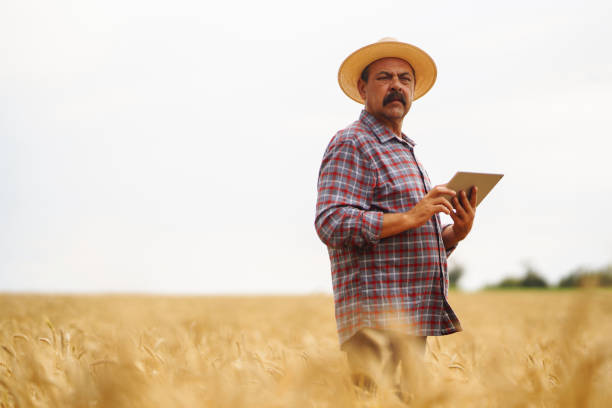istock Modern agriculture technology. Smart farming concept. 1332000313