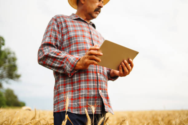 istock Modern agriculture technology. Smart farming concept. 1332000388