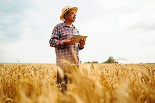 istock Modern agriculture technology. Smart farming concept. 1332000465