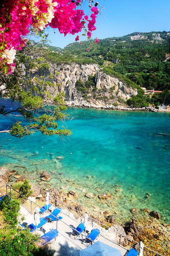 Paleokastritsa beach bay with flowers and Ionian sea clear water on Korfu, Greece