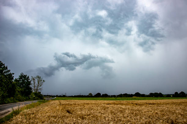pioggia cade in strisce da una nuvola in campagna, campo in primo piano, tempo - storm wheat storm cloud rain foto e immagini stock