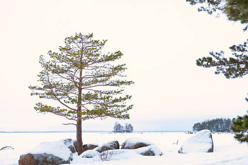 Winter, Northern Europe landscape Finland. Frozen gulf of the Baltic Sea.